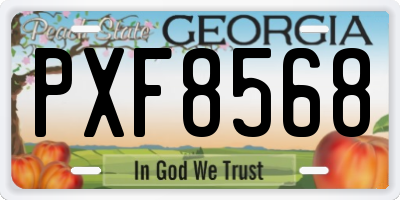 GA license plate PXF8568