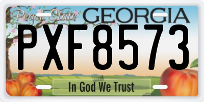 GA license plate PXF8573