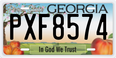 GA license plate PXF8574