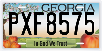 GA license plate PXF8575