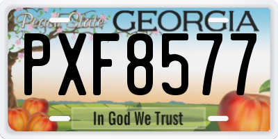 GA license plate PXF8577