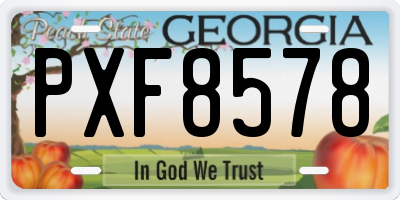 GA license plate PXF8578