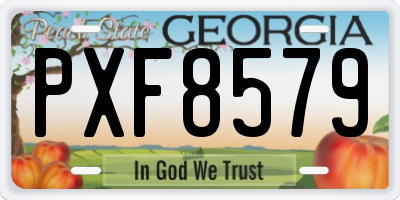 GA license plate PXF8579
