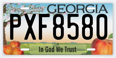 GA license plate PXF8580
