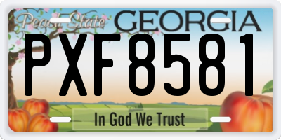 GA license plate PXF8581