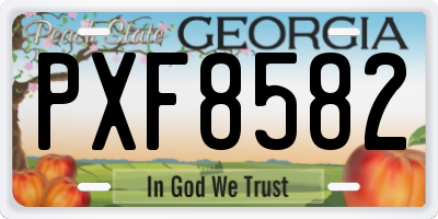 GA license plate PXF8582