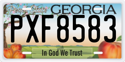 GA license plate PXF8583
