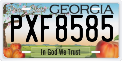 GA license plate PXF8585