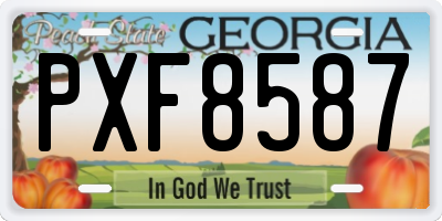 GA license plate PXF8587