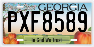 GA license plate PXF8589
