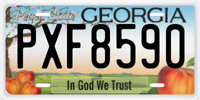 GA license plate PXF8590