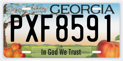 GA license plate PXF8591