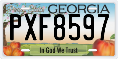 GA license plate PXF8597
