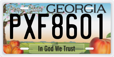 GA license plate PXF8601