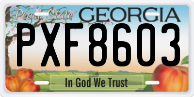 GA license plate PXF8603