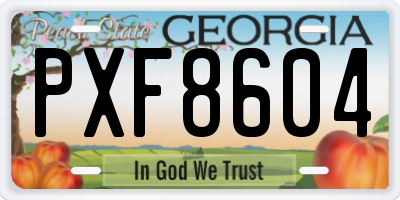 GA license plate PXF8604