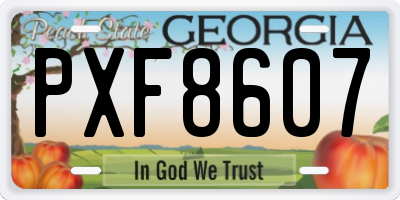 GA license plate PXF8607