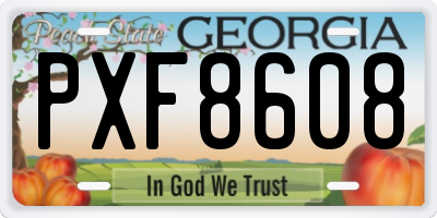 GA license plate PXF8608