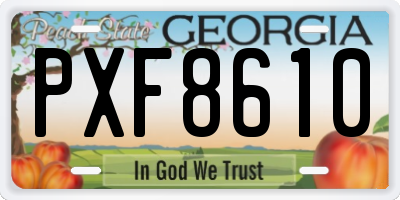 GA license plate PXF8610