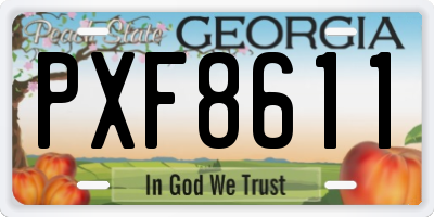 GA license plate PXF8611