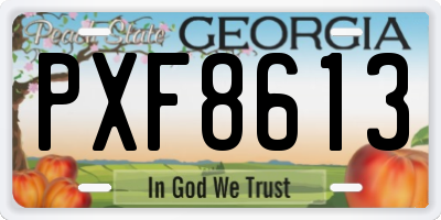 GA license plate PXF8613