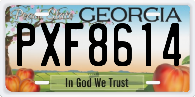 GA license plate PXF8614