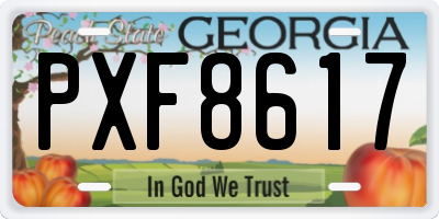 GA license plate PXF8617