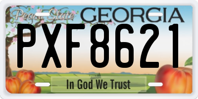 GA license plate PXF8621