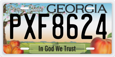 GA license plate PXF8624