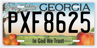 GA license plate PXF8625