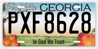 GA license plate PXF8628
