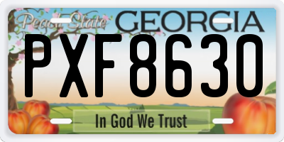 GA license plate PXF8630