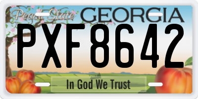 GA license plate PXF8642