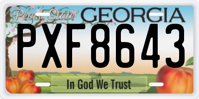 GA license plate PXF8643