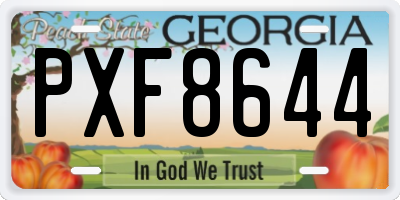 GA license plate PXF8644