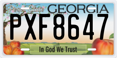 GA license plate PXF8647