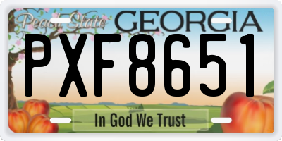 GA license plate PXF8651