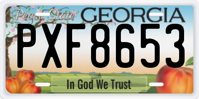 GA license plate PXF8653