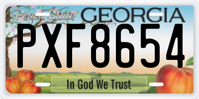 GA license plate PXF8654