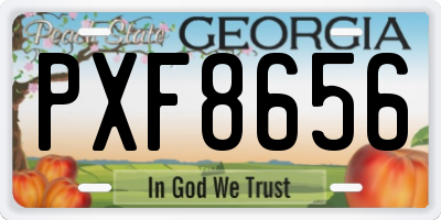 GA license plate PXF8656