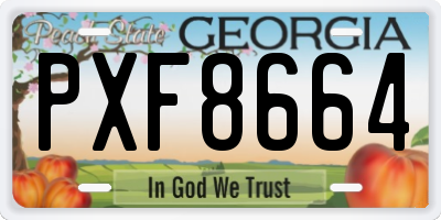 GA license plate PXF8664