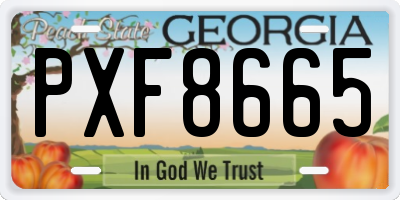 GA license plate PXF8665