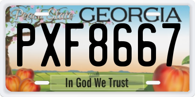 GA license plate PXF8667