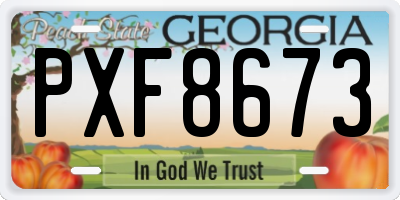 GA license plate PXF8673