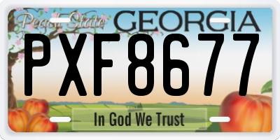 GA license plate PXF8677
