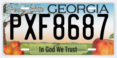 GA license plate PXF8687