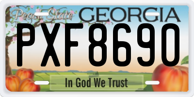 GA license plate PXF8690