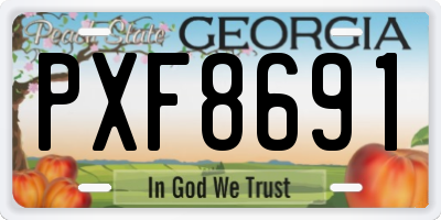 GA license plate PXF8691