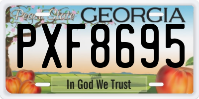 GA license plate PXF8695