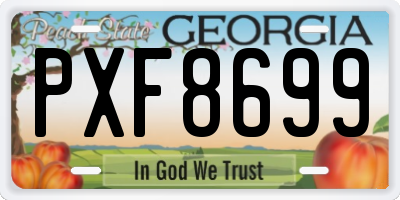 GA license plate PXF8699